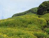 Trek to Ratangad Fort