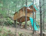 Treehouse Adventure in Pabbar Valley