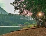 Munnar City Sightseeing Day Tour in Private Car
