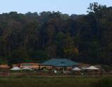 Trek To Brahmagiri & Camp Overnight In The Woods