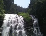 Coorg Sightseeing Day Tour with Dubare Elephant Camp