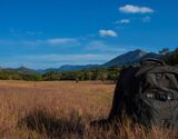 Jeep drive to Bakkare (Elephant Grasslands)