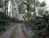 Coorg wildlife & Nature tour