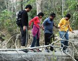 Three Day Jungle Tour Of Corbett National Park