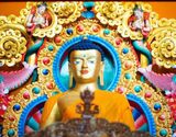 8 Hour Sightseeing Tour of Mcleodganj and Dharamshala