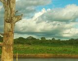 Udawalawa National Park Safari Experience from Galle