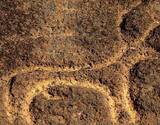Rock Art Tour in Goa with an Archaeologist
