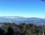 Ranikhet 2 Days Sightseeing Tour from Haldwani