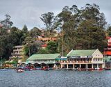Kodaikanal Sightseeing 4 Days Tour from Chennai for Big Group (Tempo Traveller)