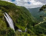 Aberdare National Park Day Trip from Nanyuki