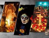 Cradle To The Grave: A Walk to Cemeteries of Kolkata