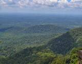 Rainforest Exploration Tour to Agumbe