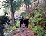 Kais Dhar and Bijli Mahadev Trek