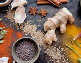 Half day Indian Cooking Classes